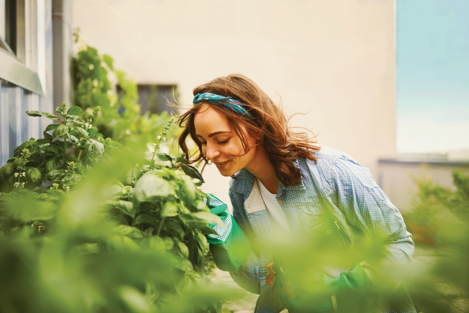 Frau mit Haarband in blauem Hemd riecht an Kräuterpflanzen in einem Garten, umgeben von grünem Laub.
