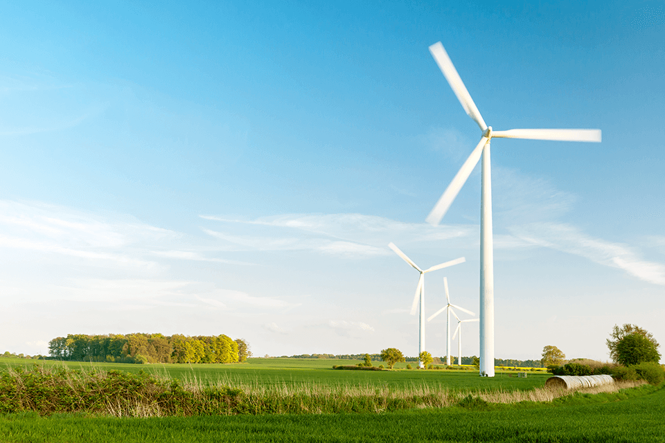 Landschaft mit einer grünen Wiese und weißen Windräder