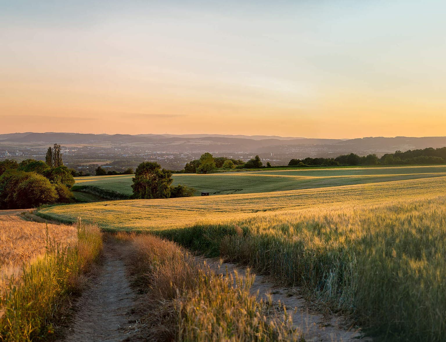 Feld im Sonnenuntergang