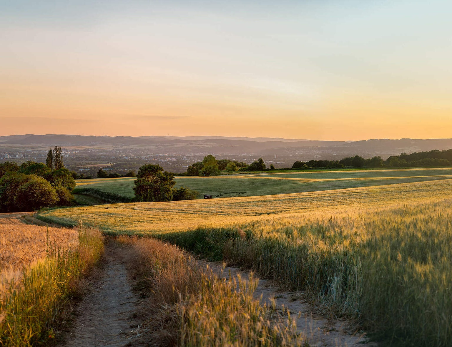 Feld im Sonnenuntergang
