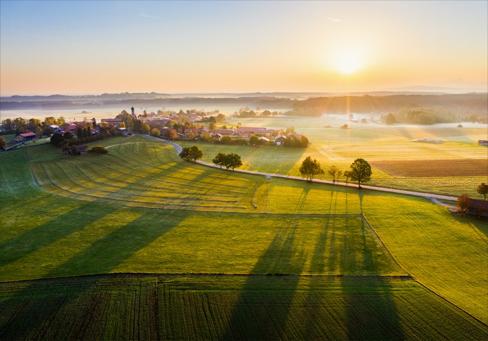 Sonne über grüner Landschaft