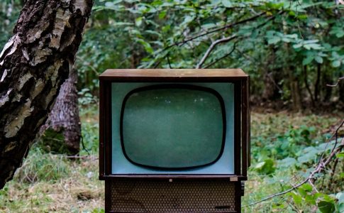 Ein alter Röhrenfernseher steht inmitten von Bäumen auf dem Waldboden.