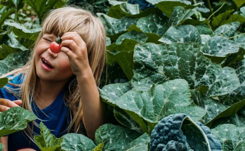 Das Foto der Gemüseackerdemie zeigt ein Mädchen in einem Kohlfeld
