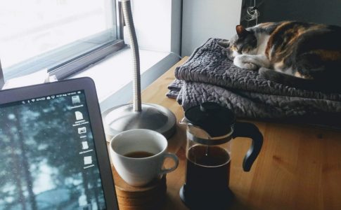 eine Katze liegt auf einem Arbeitstisch. Daneben stehen eine Kaffeetasse und ein Laptop.