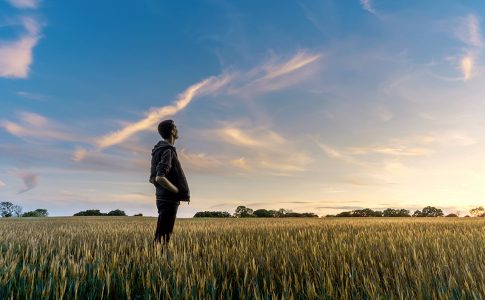 Ein Mann steht in einem Kornfeld und sieht in den Himmel.