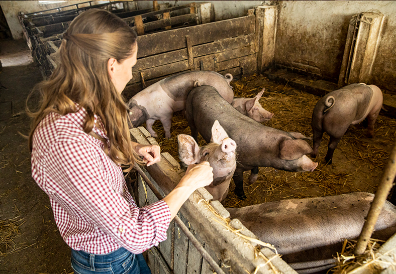 Eine Frau steht in einem Schweinestall.