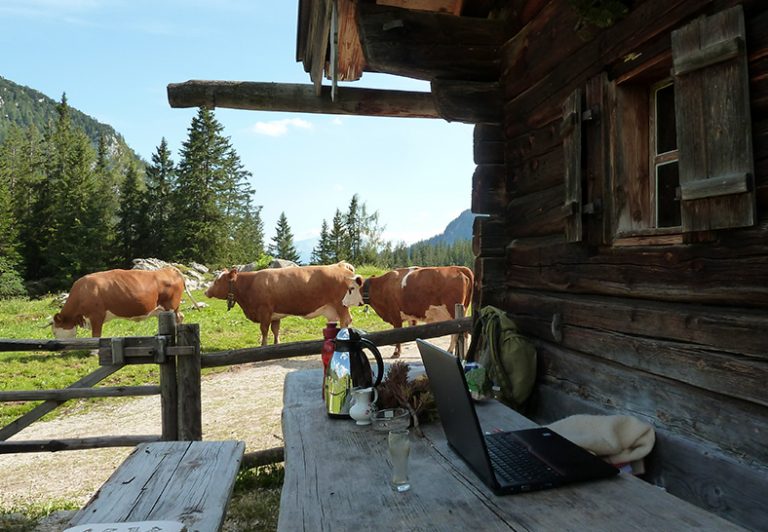 Auf dem Tisch vor einer Holzhütte steht ein Laptop. Im Hintergrund weiden Kühe.