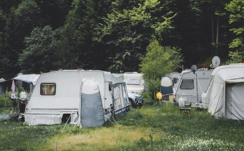 Mehrere Wohnwagen auf einer Wiese, die an den Wald grenzt.