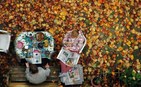 Zwei Menschen lesen Zeitung umgeben von Herbstlaub.