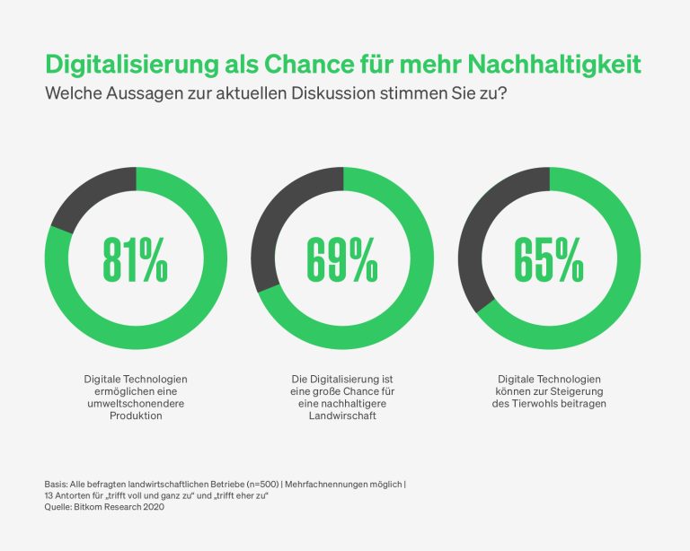 Kreisdiagramm als Grafik