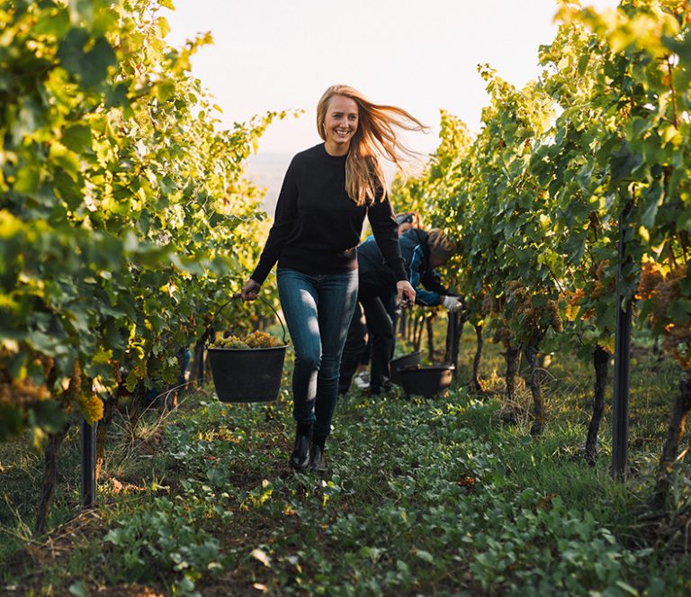 Juliane Eller läuft in der Abendsonne mit Eimern voller Trauben durch die Reben.