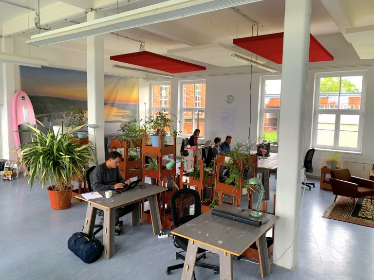 Coworking Space mit Arbeitsplätzen und Pflanzen