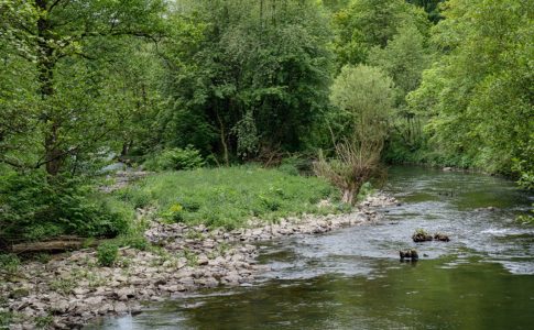 Alt-Tag: Fluss mit grünen Ufern