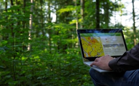 Mensch mit aufgeklapptem Laptop im Wald
