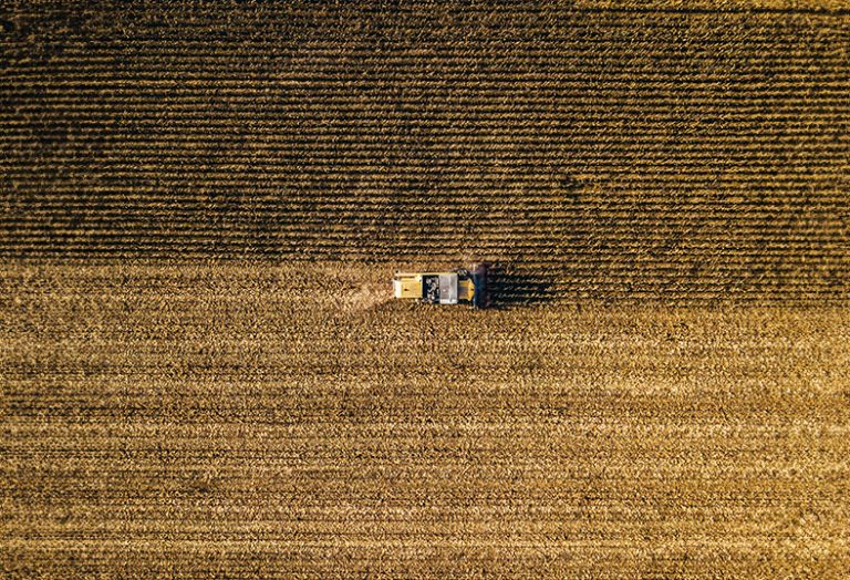 Erntemaschine auf einem Kornfeld, aus der Vogelperspektive aufgenommen.