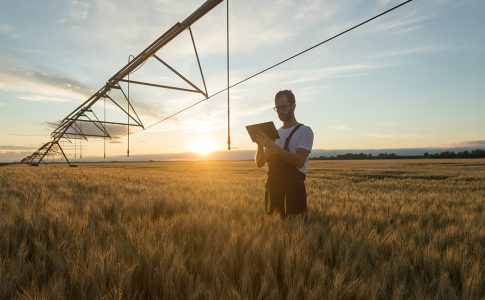 Mann steht auf Kornfeld mit Tablet-Computer in der Hand.